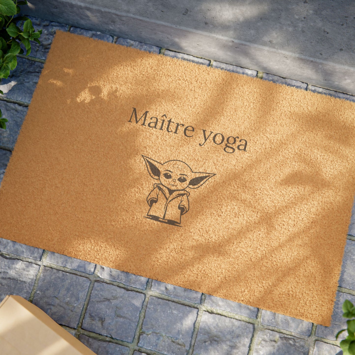 Maître Yoga
